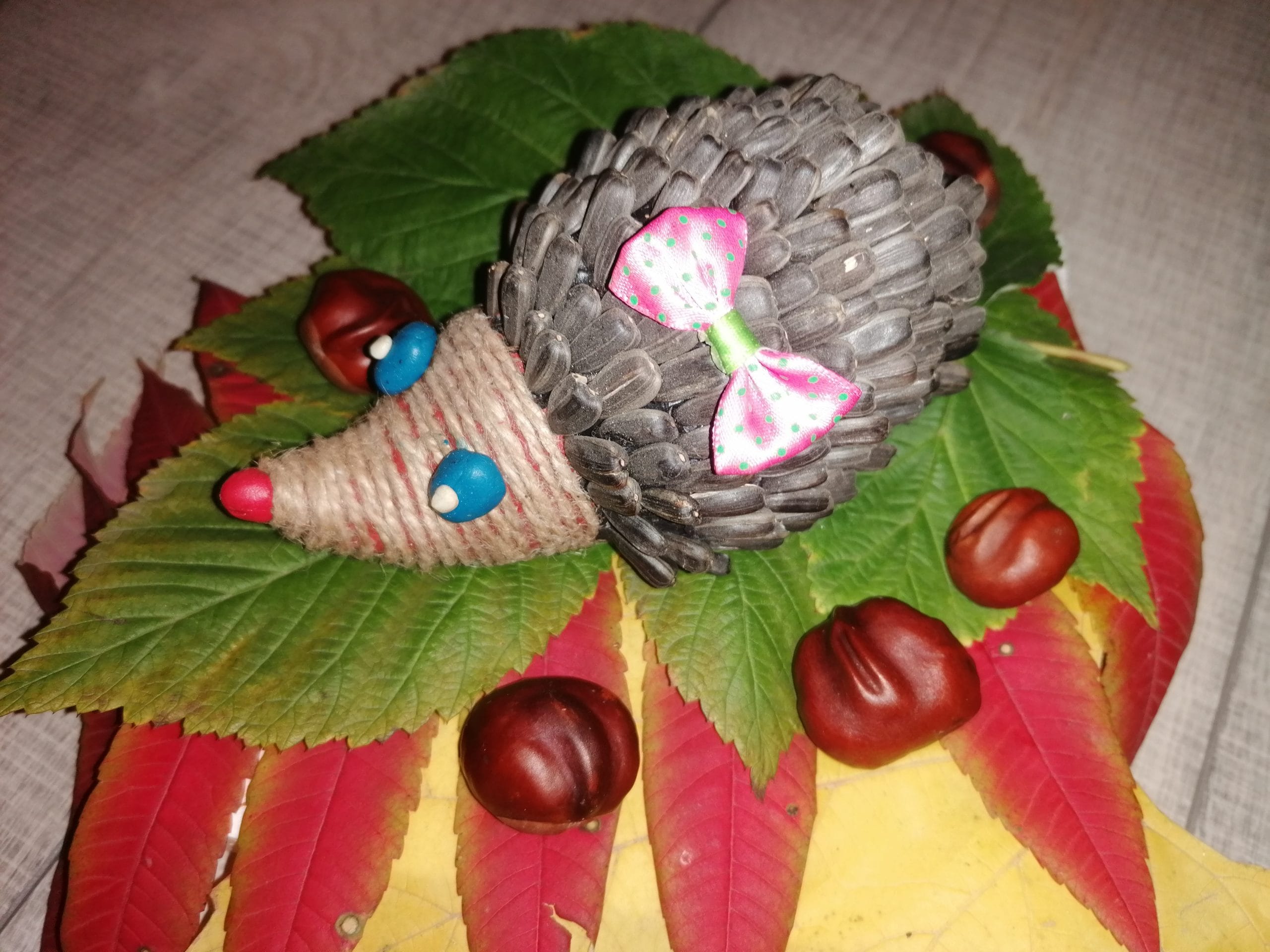 IMG_20211028_153155.jpeg
