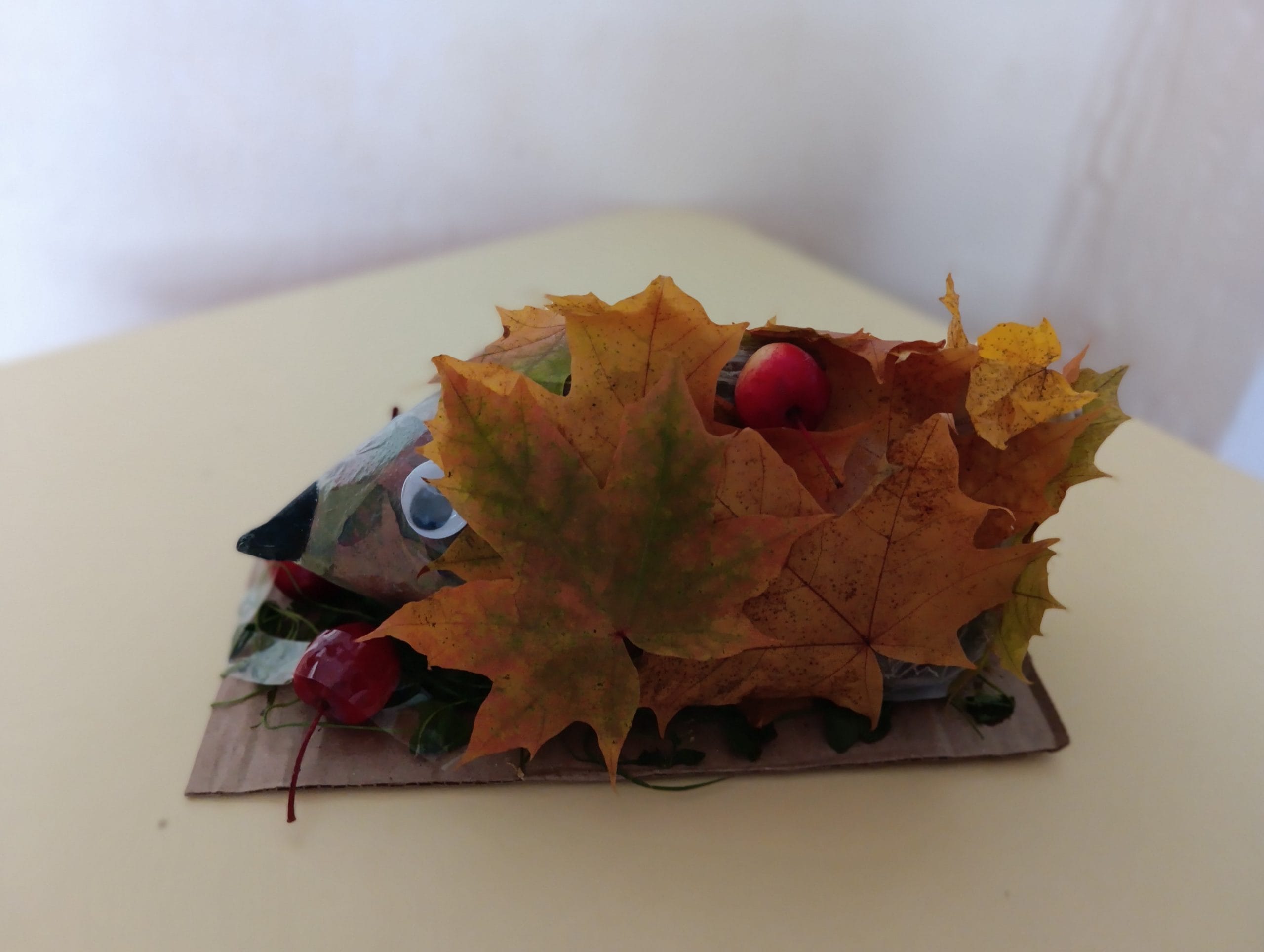 IMG_20260921_135253.jpg