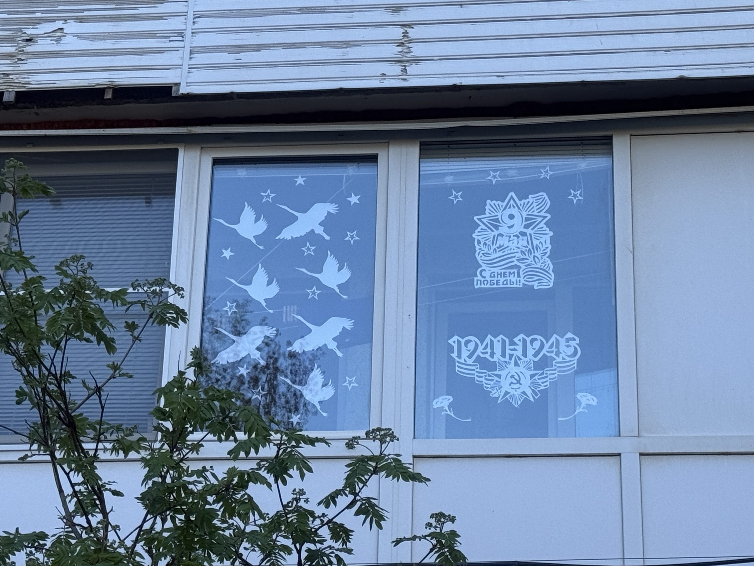 IMG_3030.jpeg