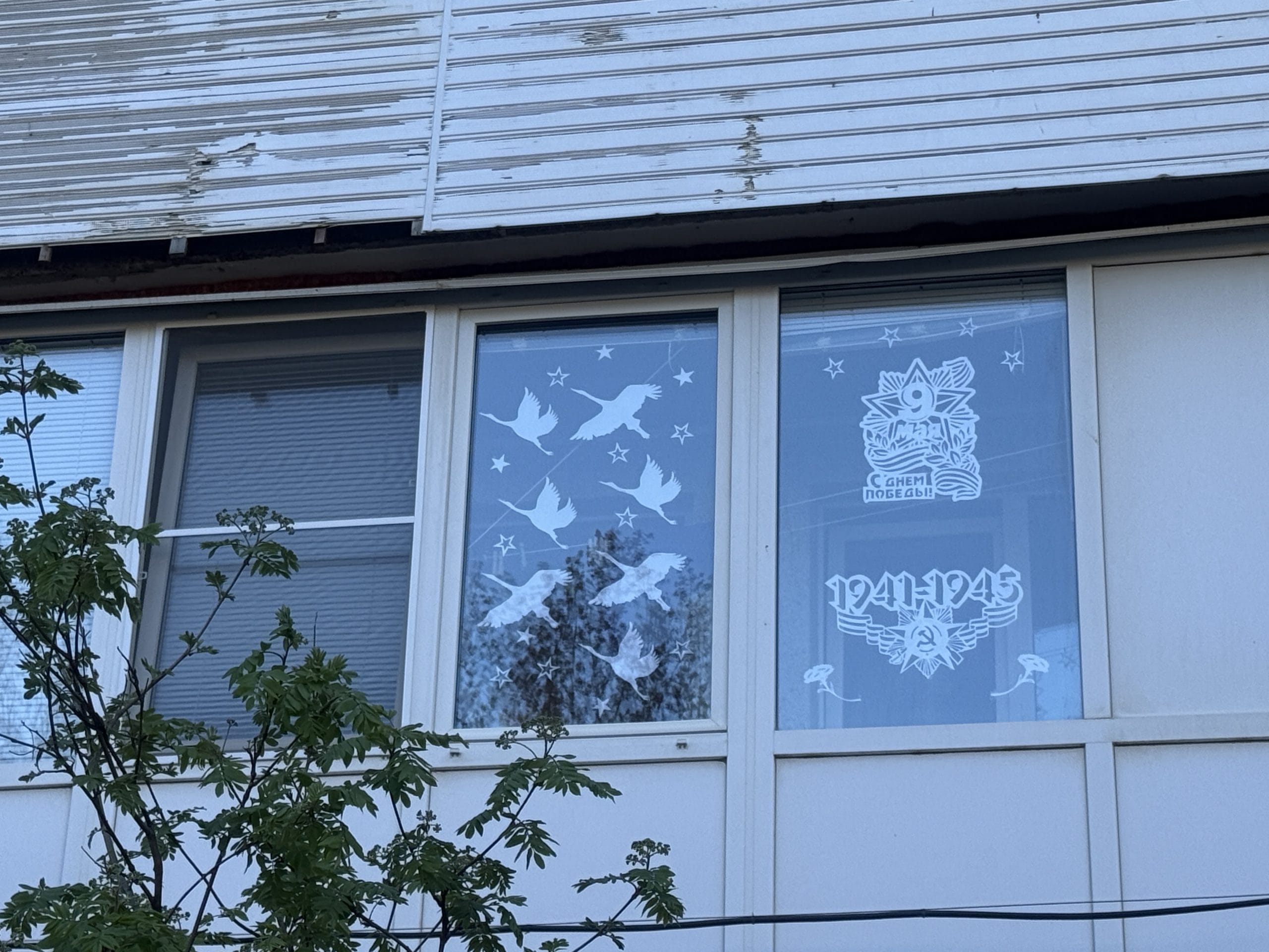 IMG_3031.jpeg