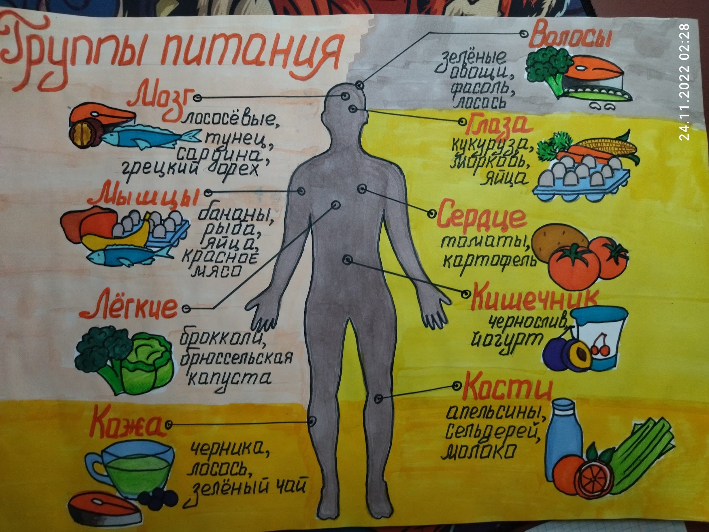 Группы питания.jpg