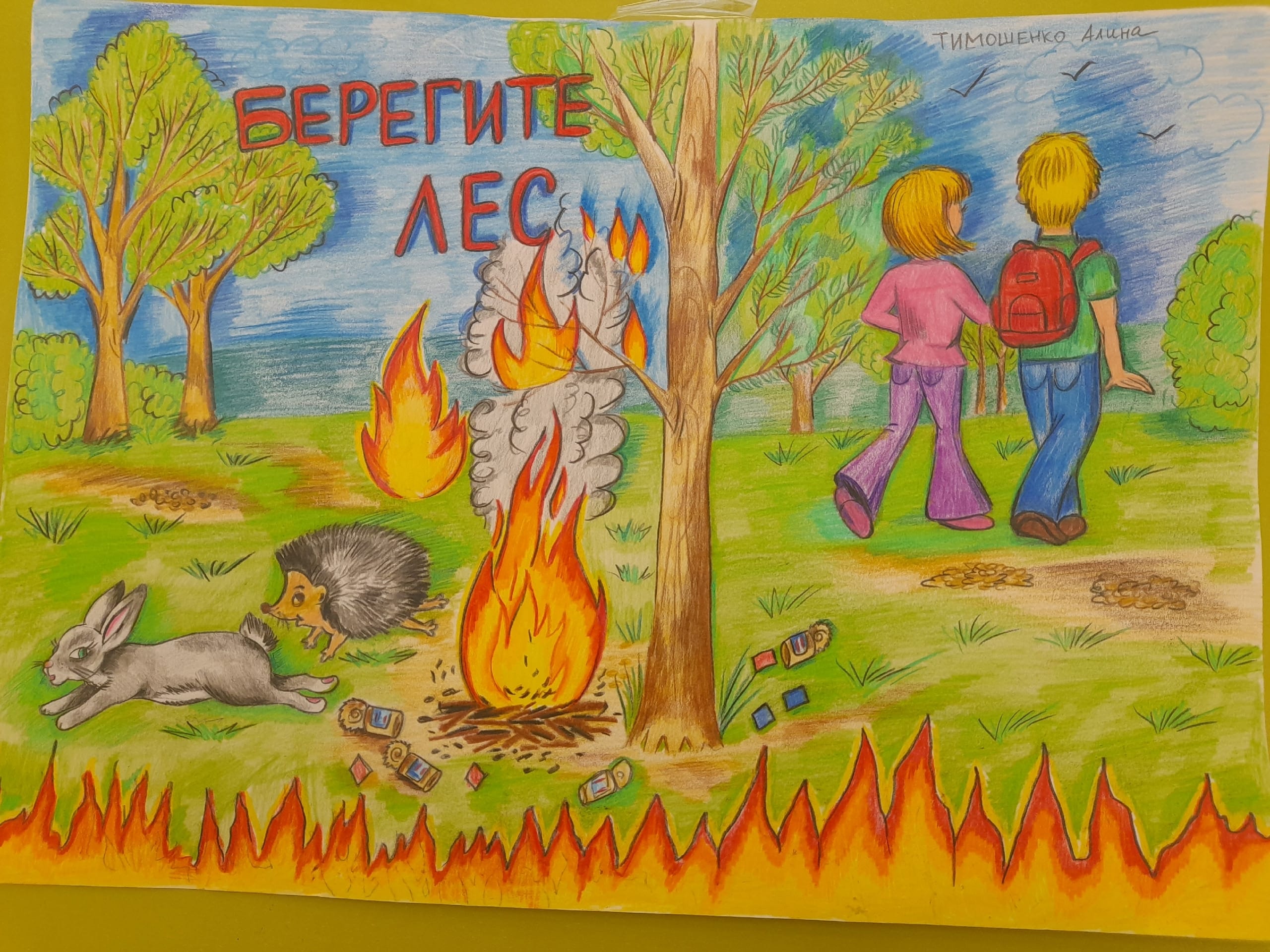 Тимошенко А.jpg