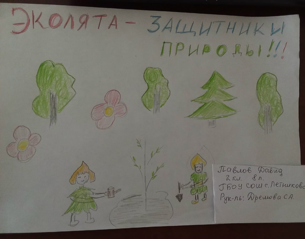 пав.д.jpg