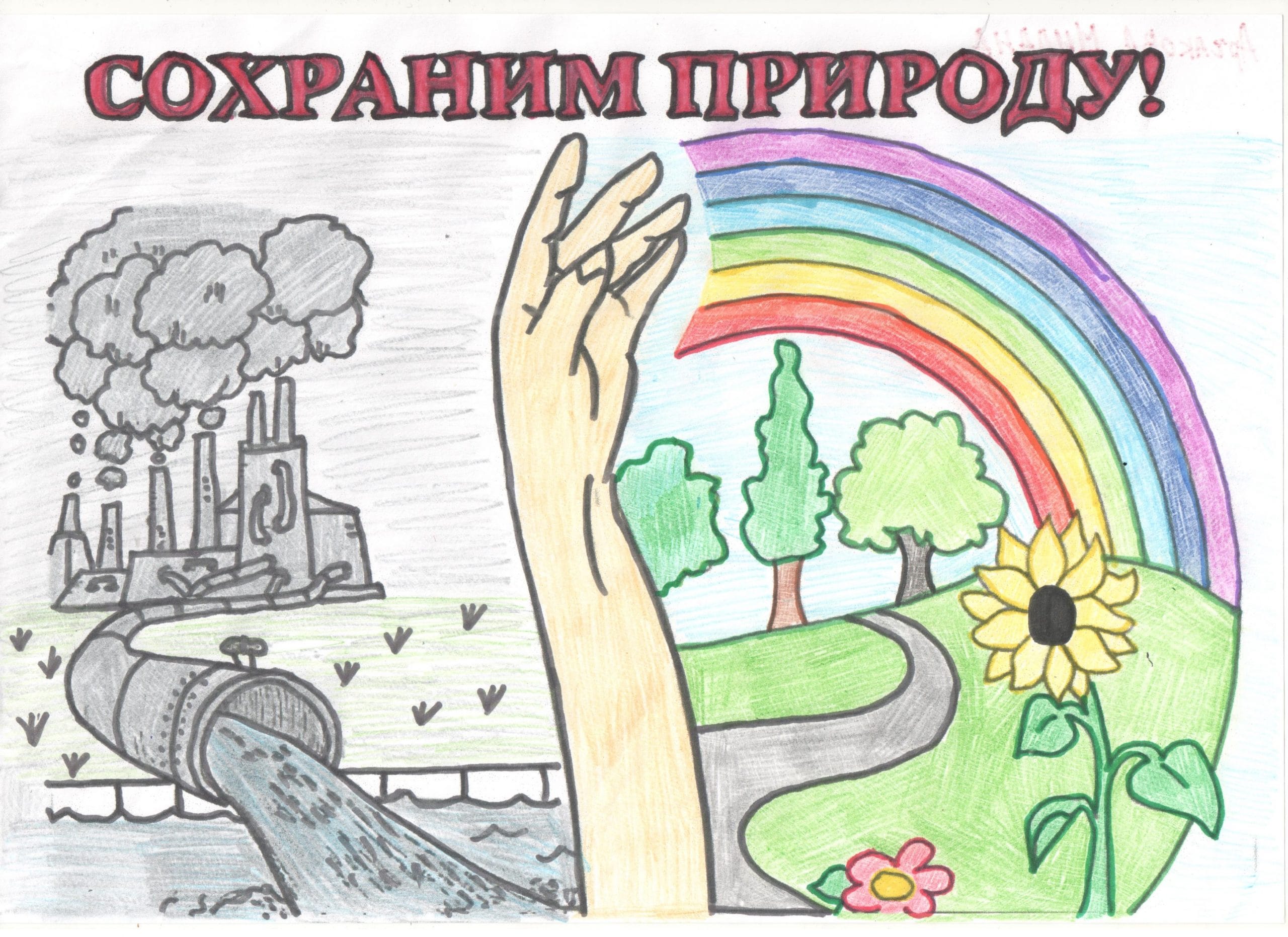 рисунок.jpg