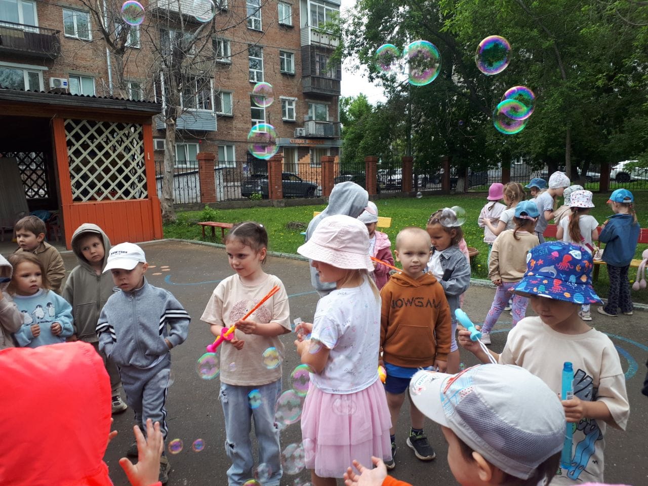 IMG_20260609_124940_969.jpg