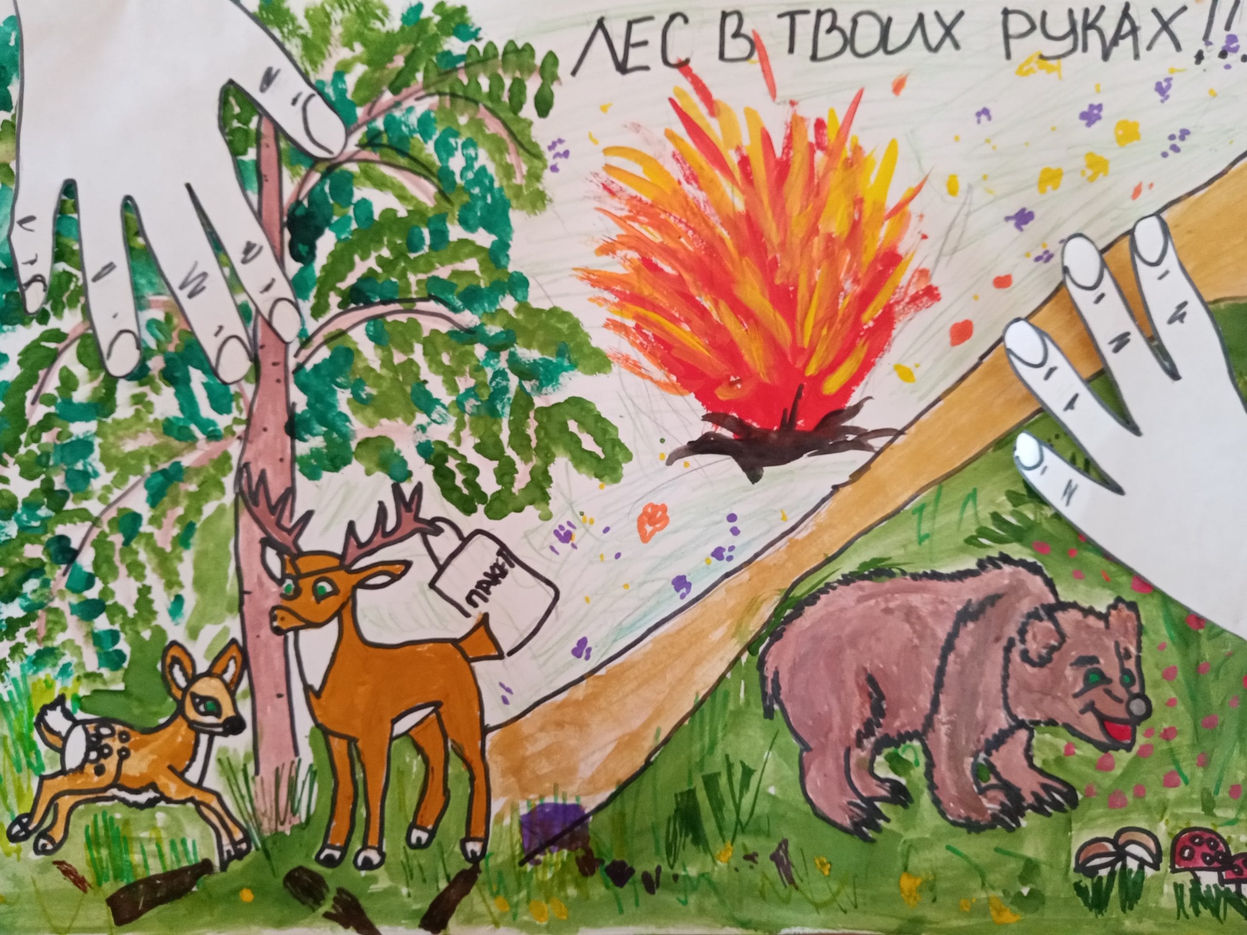 Спирин Д.jpeg