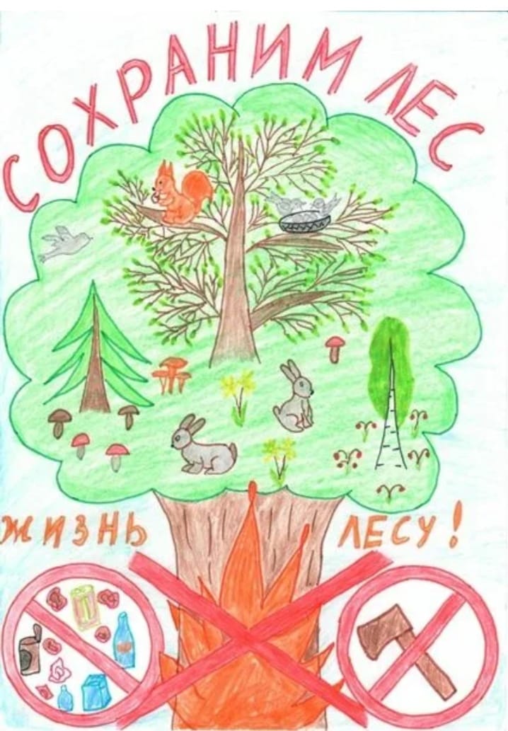берегите лес.jpg