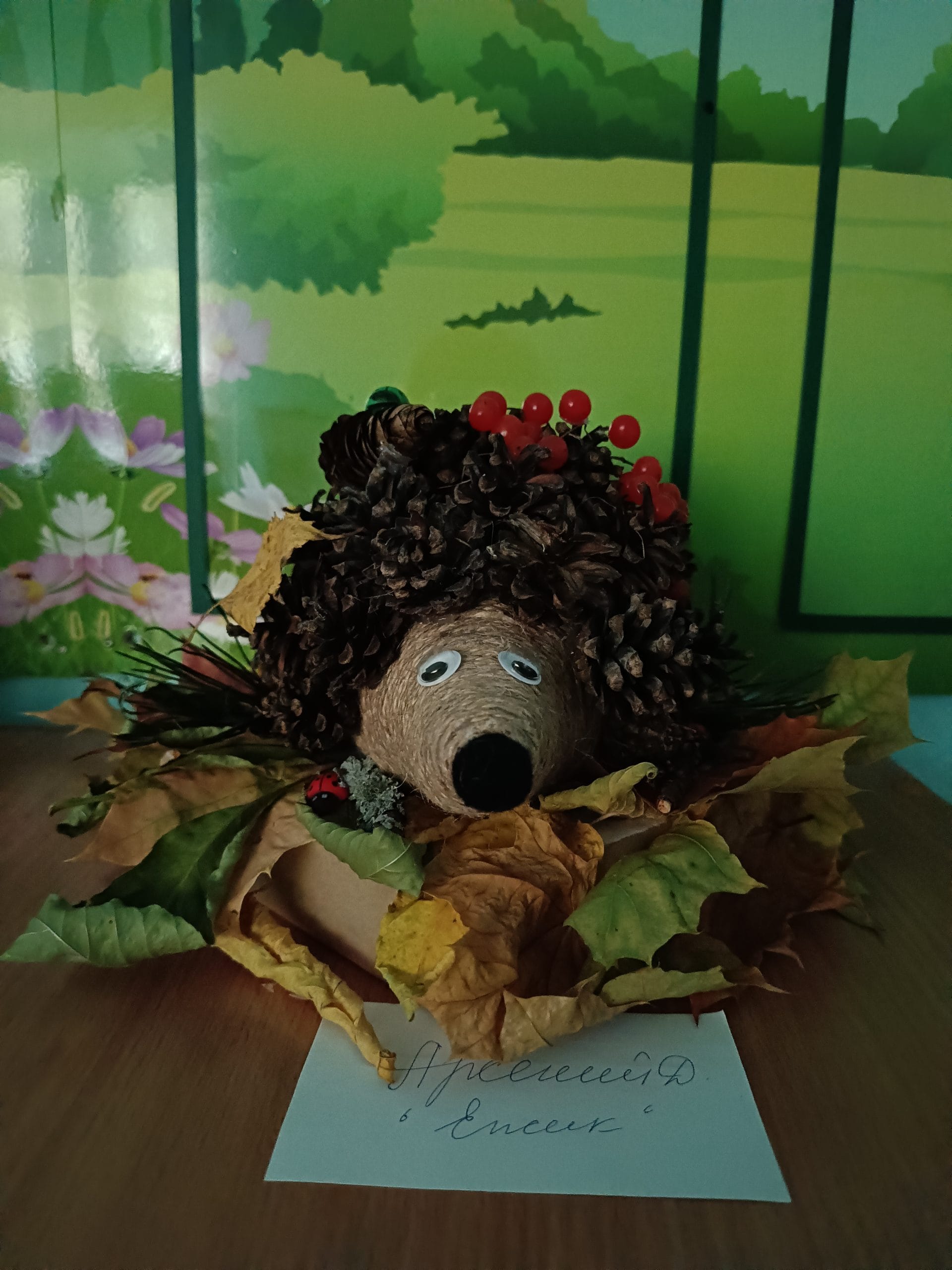 IMG20260925132719.jpg