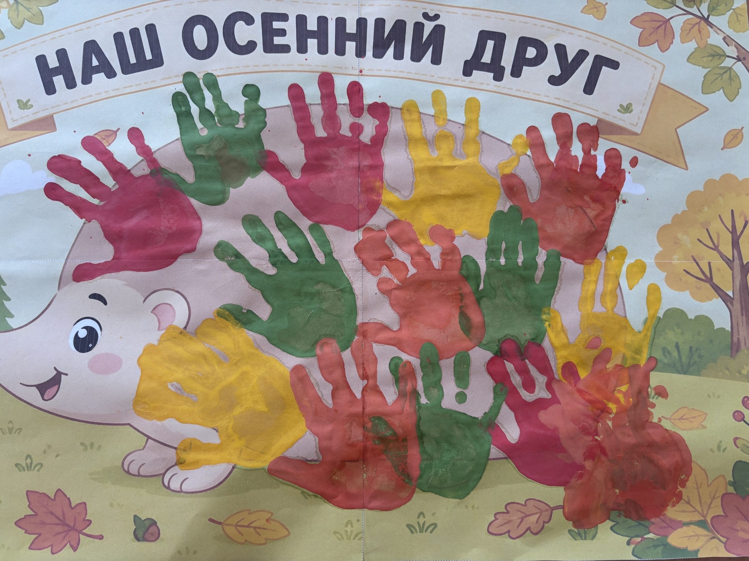 IMG_3132.jpeg