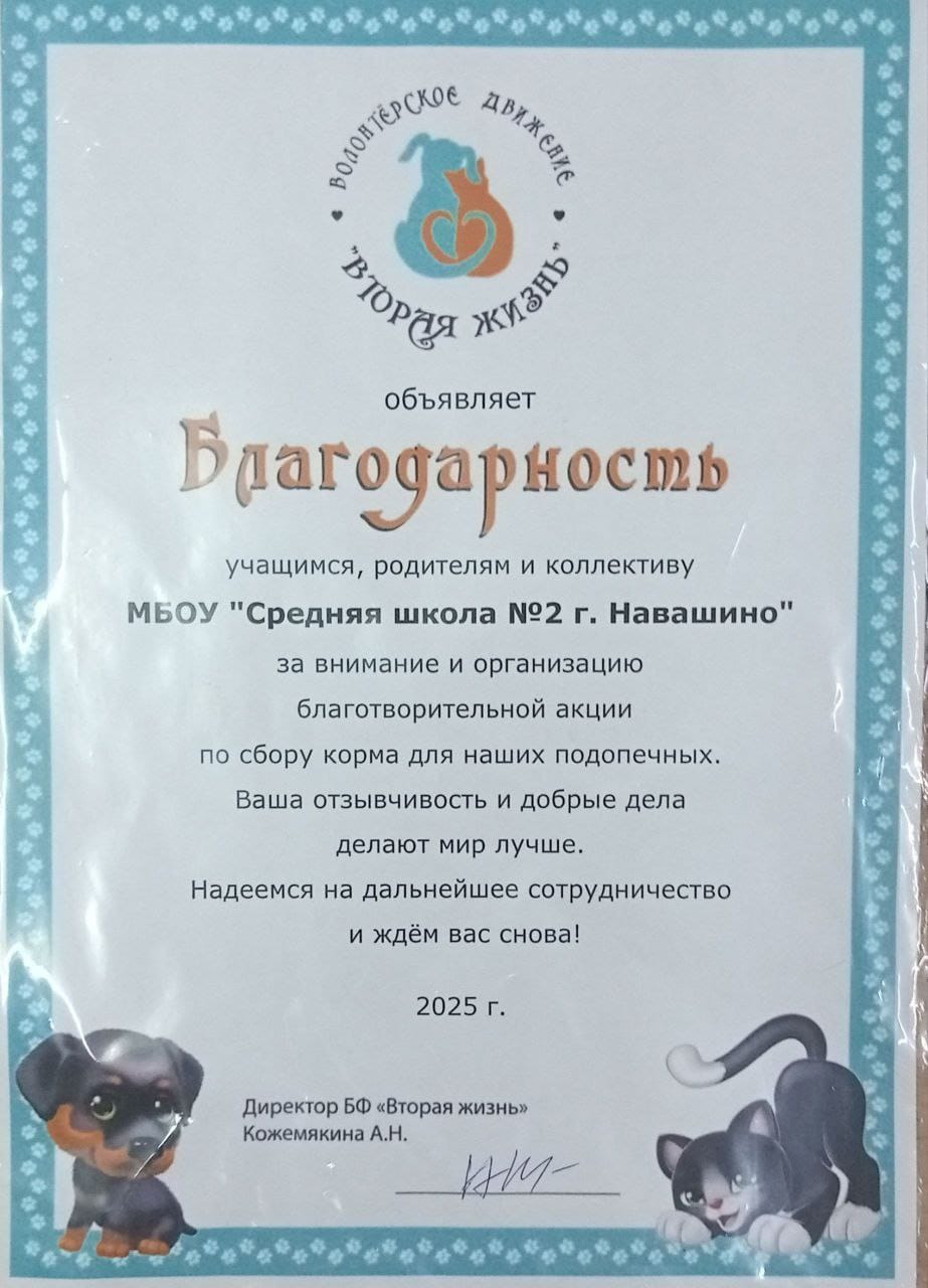 Благодарностьв акциипо сбору корма для животных 2025г.jpg