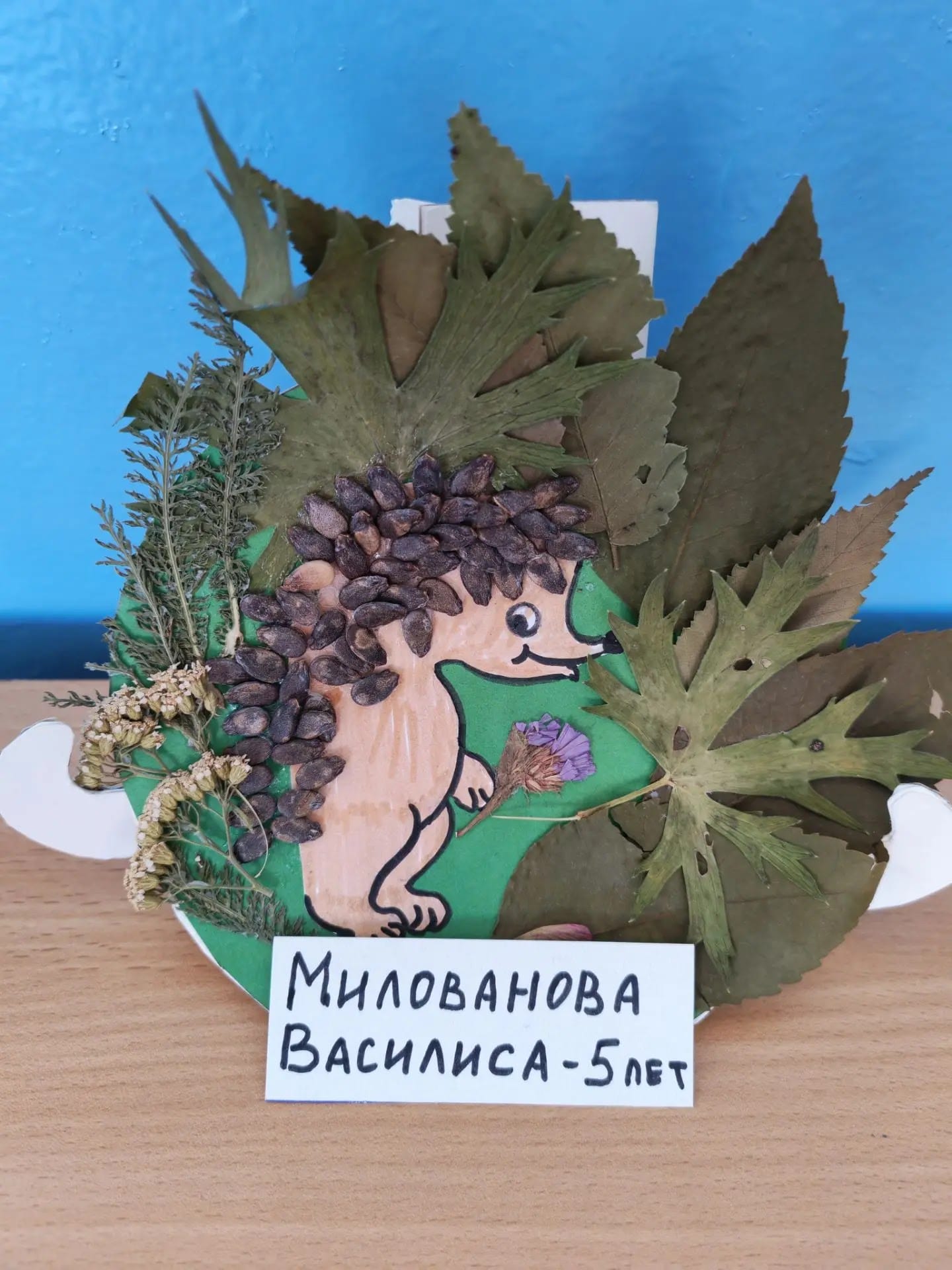 ежик.webp