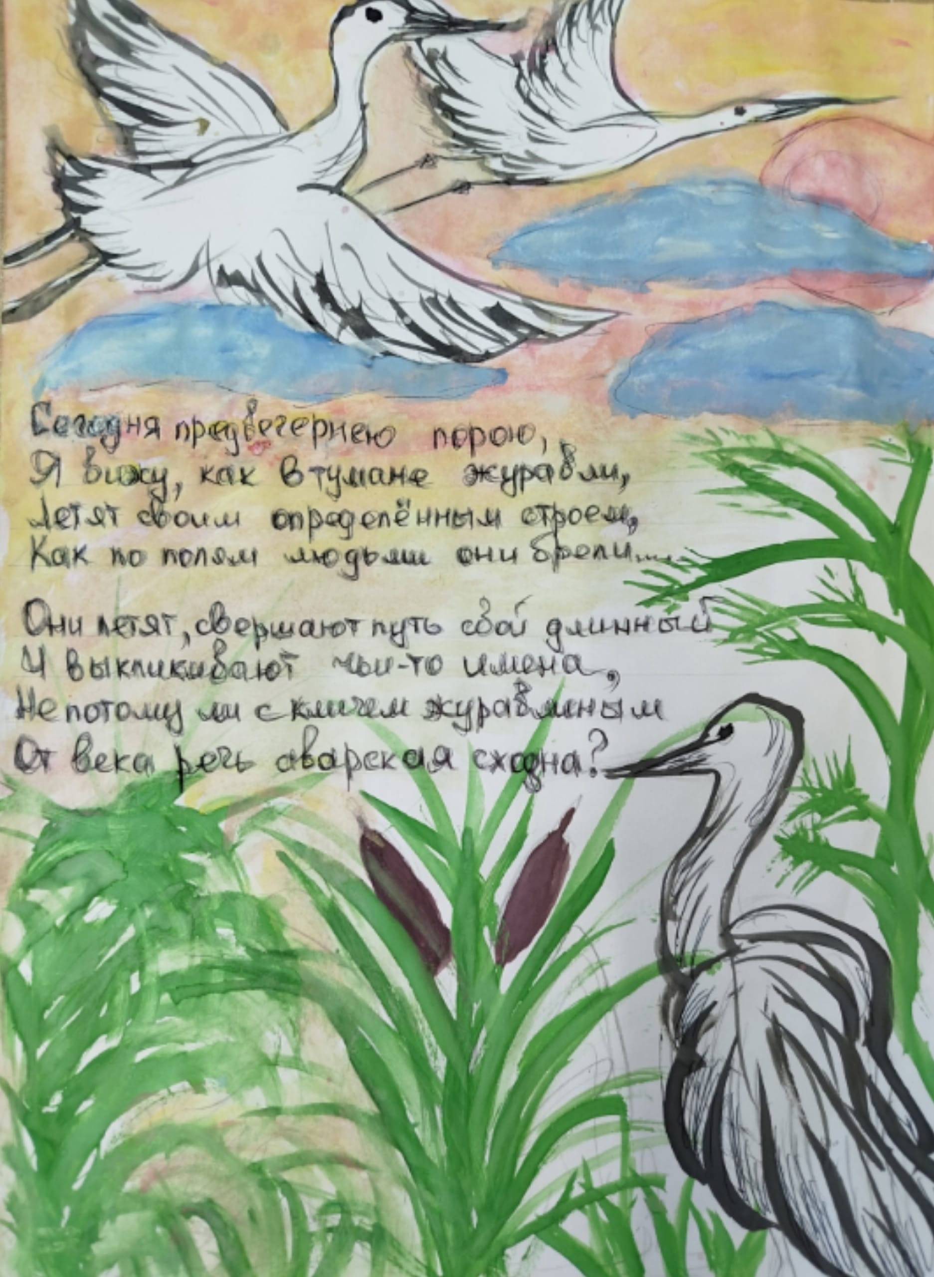 рисунок Ильи.jpg