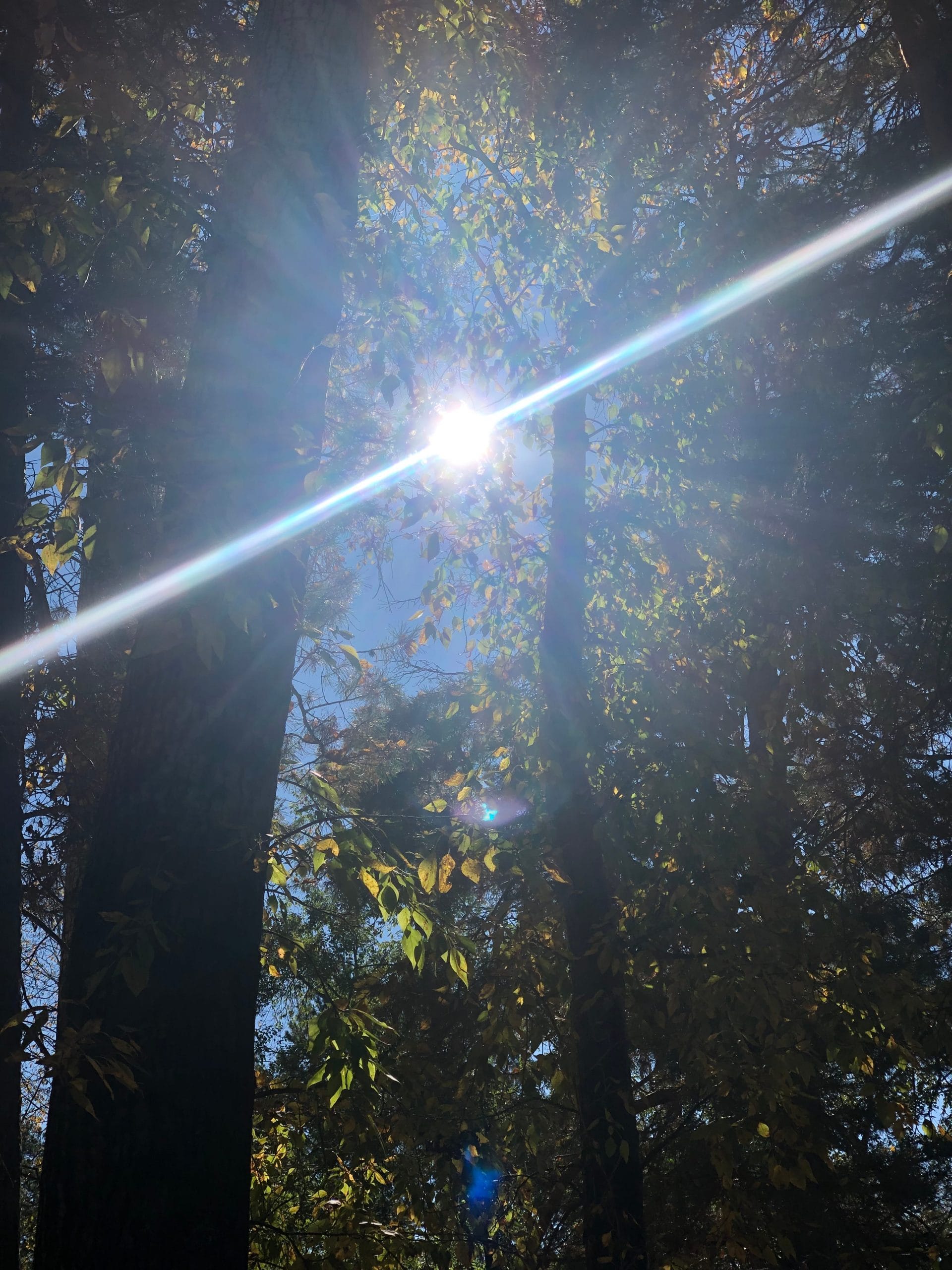 BC023A7C-6567-44FF-8AA6-D13290F44C6B.jpeg