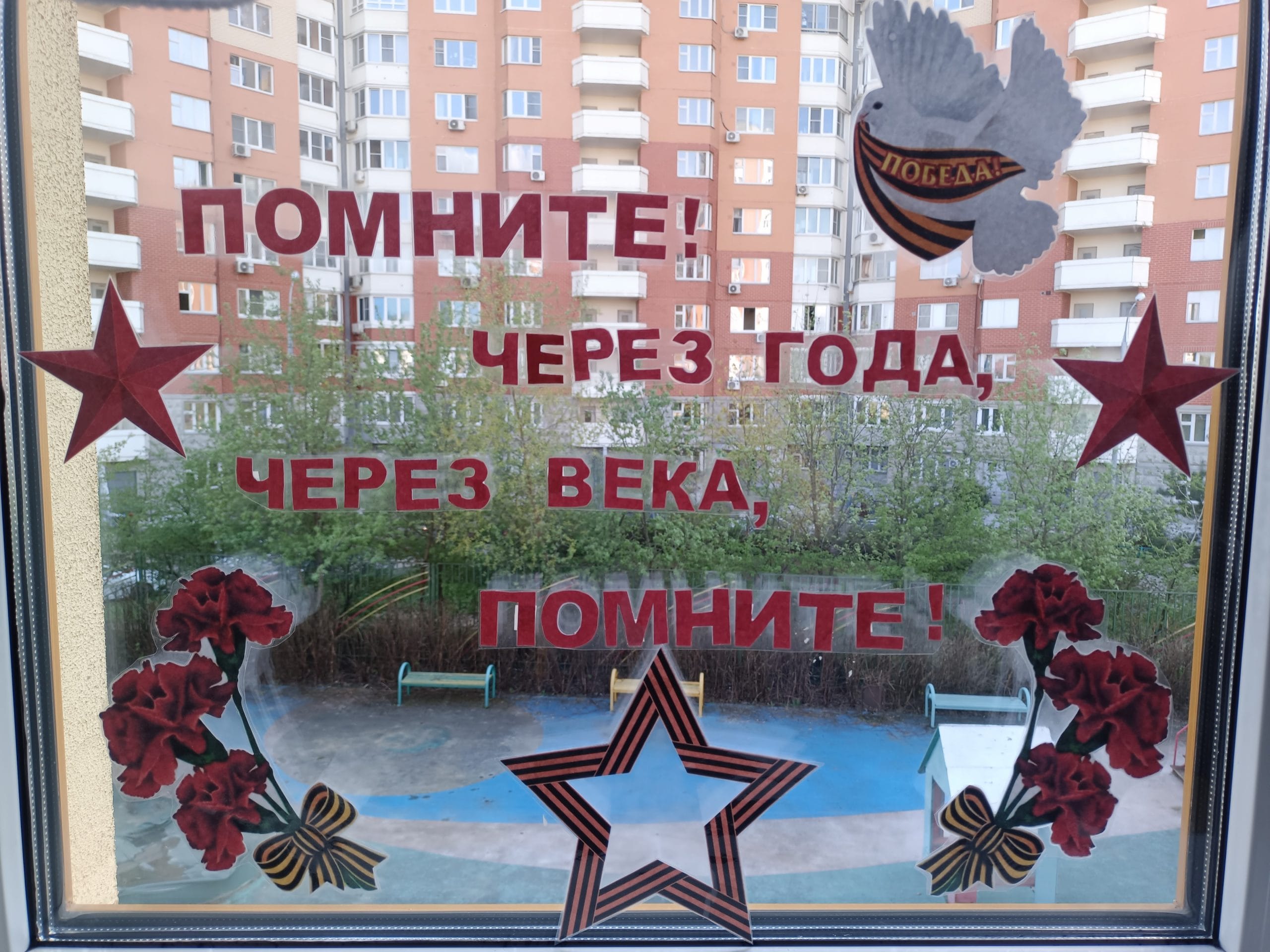 IMG_20260506_143903.jpg