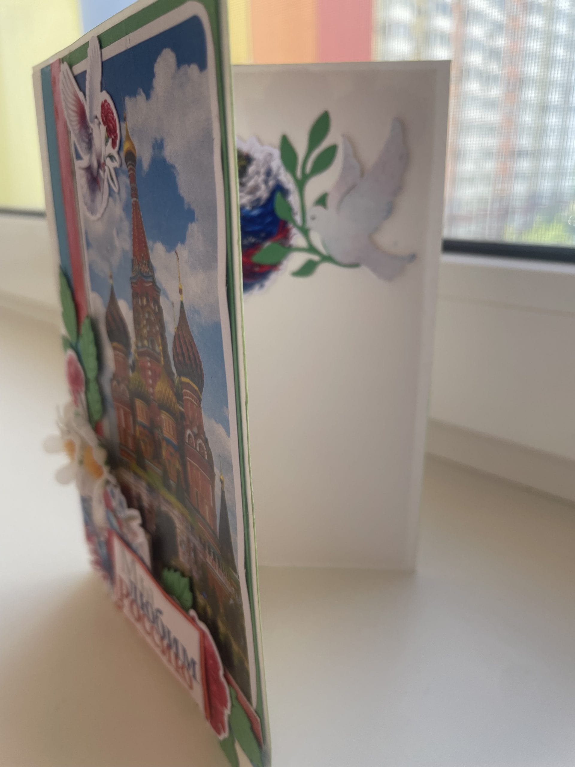 IMG_7419.jpeg