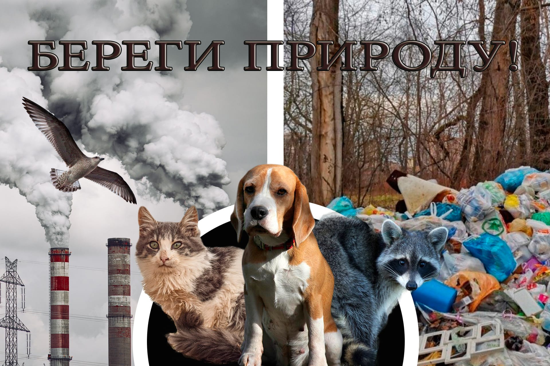 плакат защита природы. Гудкова Вера1.jpg