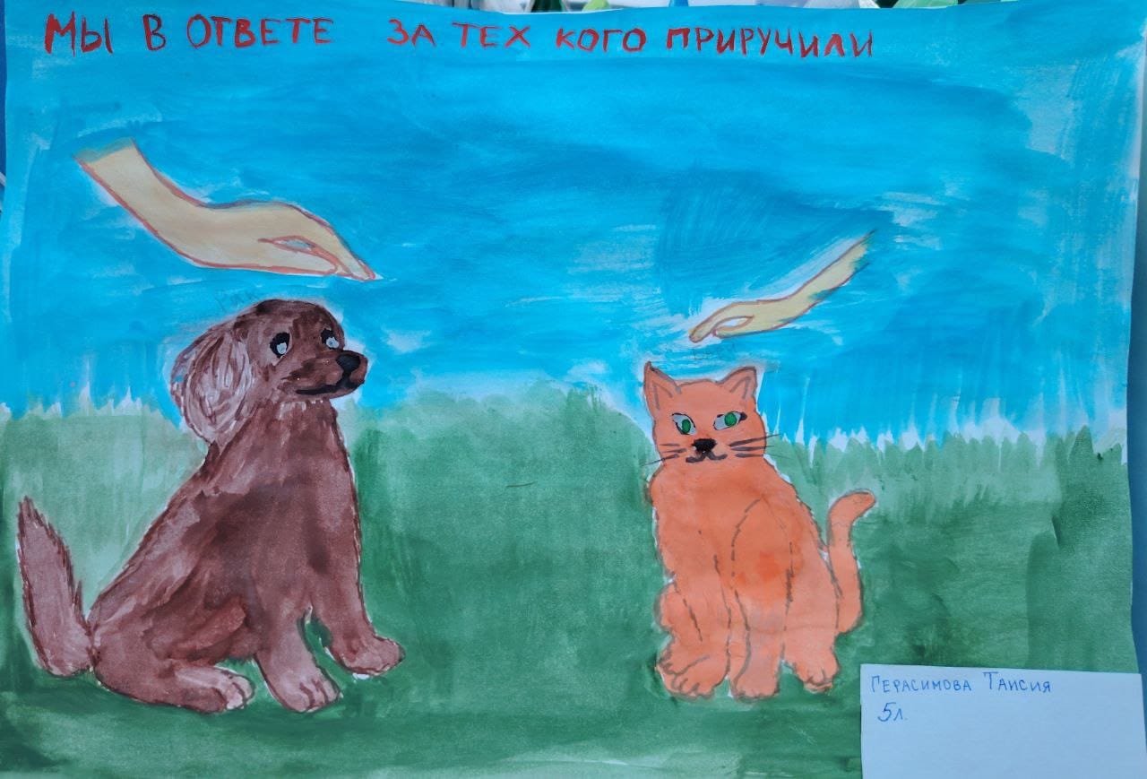 рисунок.jpg