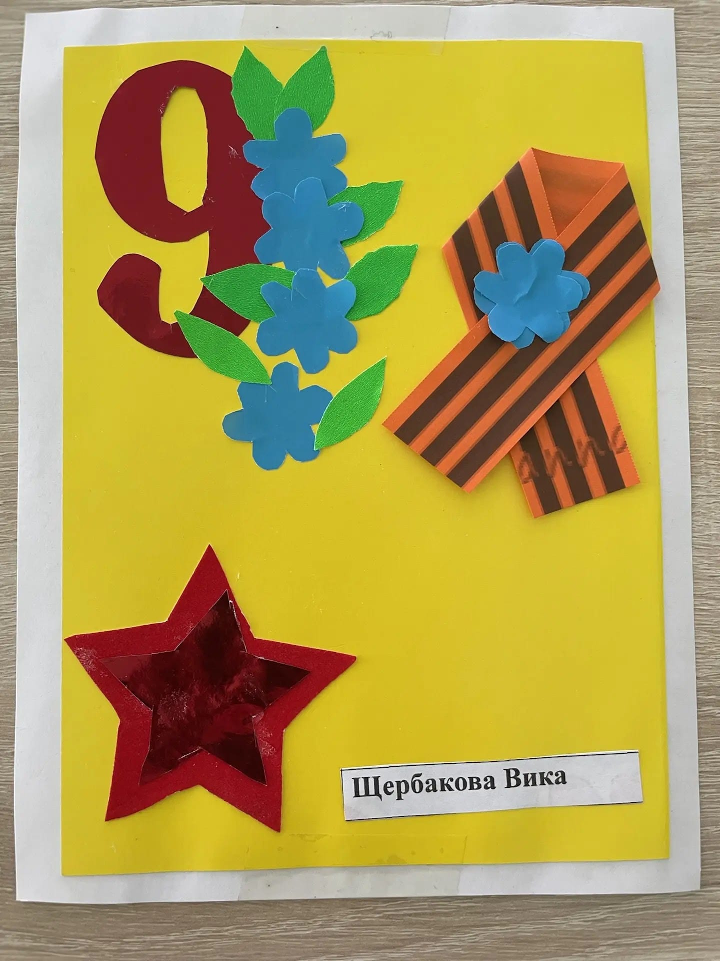 щербакова виктория ап-я.webp