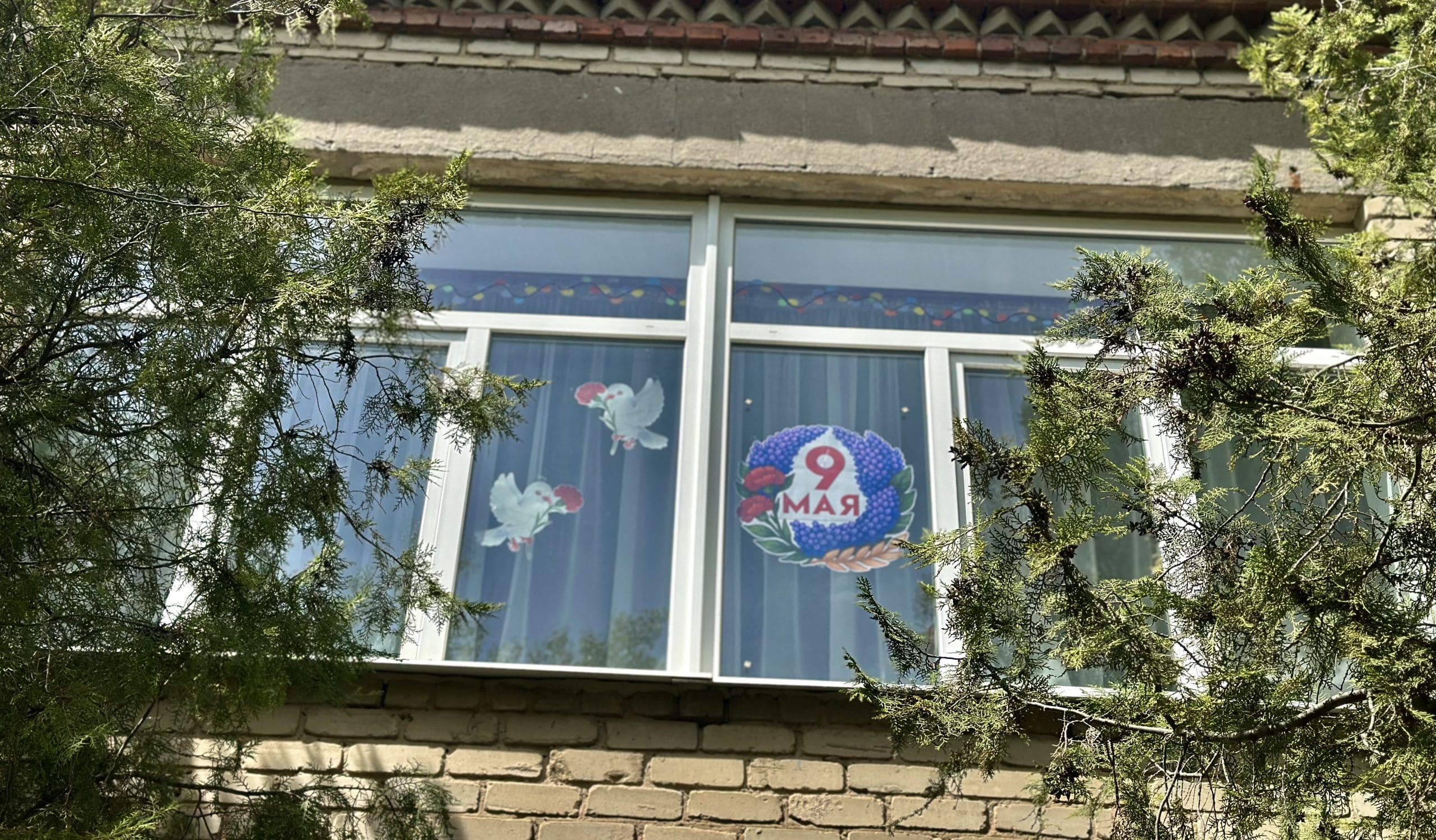 IMG_3726.jpeg