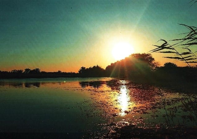Рисунок1.jpg